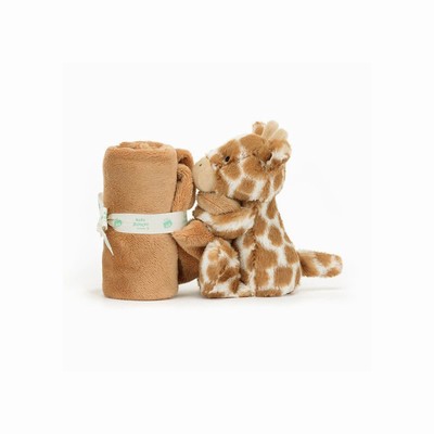 Jellycat Bashful Giraffe Soothers New Zealand | ITHQG1708